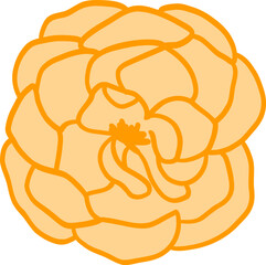 orange flower