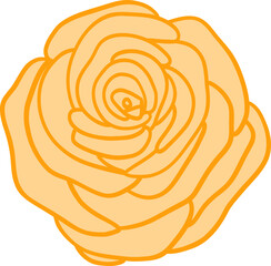 orange flower