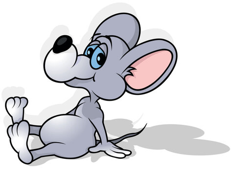 The Gray Mouse Leaning Back on its Paws and Sits on the Floor