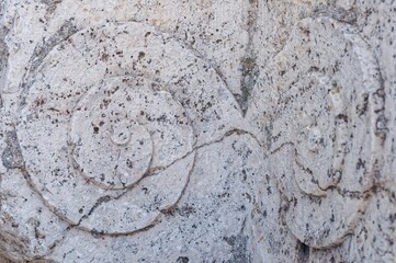 Snail-shaped patterns carved in stone