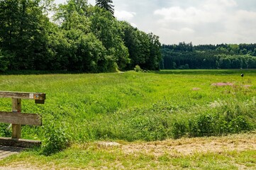 Wooden fence in the green fields and trees in the countryside in Germany
