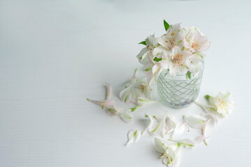 Delicate small bouquet of white alstroemeria flowers on a light pastel background. Spring holidays and Easter holidays. Mothers Day. Romantic postcard.
