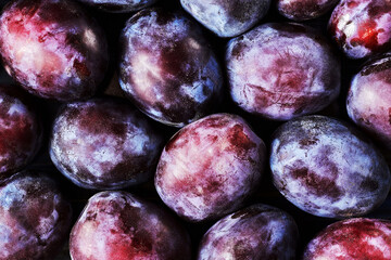 Close-up of fresh plums, top view. Texture background of fresh blue plums