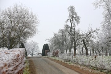 Obraz premium Small road through a winterly park covered in frost