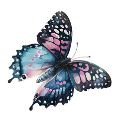American lady  buterfly. Watercolor with transparent background. Generative AI