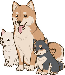 三色柴犬の親子