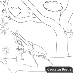 Beetle insect coloring page for kids