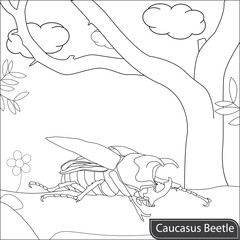 Beetle insect coloring page for kids