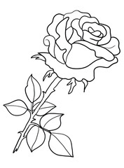 Our stunning black and white flower illustration is perfect for coloring book enthusiasts. Let your creativity bloom as you relax and unwind with this intricate and beautiful design.