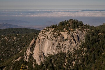 Aerial view of a beautiful forest near the mountains in CA, USA