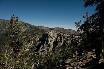 Aerial view of a beautiful forest near the mountains in CA, USA