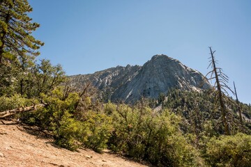 Aerial view of a beautiful forest near the mountains in CA, USA