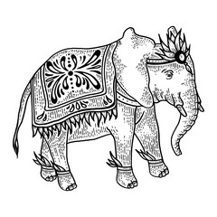 Indian elephant sketch engraving PNG illustration with transparent background