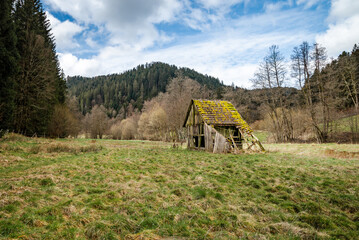 Old hay shack on a meadow with forest and hills in the background