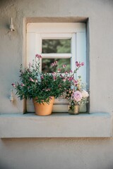 Fototapeta na wymiar Closeup of a bouquet on in a pot near window with stone frames