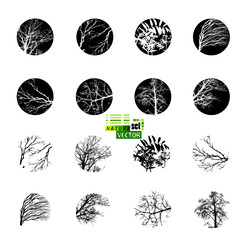 Objects trees are round. Tree branch tracing. Vector illustration