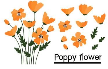 California poppy background.Eps 10 vector.