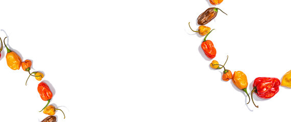 Assortment of colored peppers isolated on white background. Different varieties, wreath form, trendy
