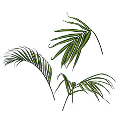 Vintage floral with line green palm leaves on white. Romantic design for natural cosmetics, perfume, women products. Can be used for greeting card, wedding invitation.