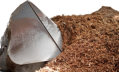 Isolated on white background, the loader scoops a pile of biomass into the bucket. A pile of wood...