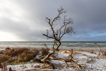 Darßer Weststrand.