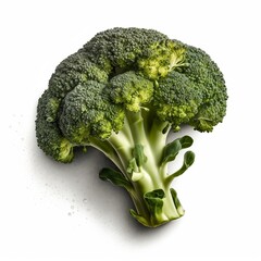 broccoli on a white background, AI Generated image, AI Food, AI Art, Broccoli, vegan, vegetarian