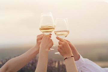 A group of friends clinking glasses of wine and spend time together at summer picnic.