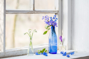 spring flowers in glass bottke on old window