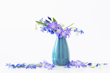 snowdrops in blue vase on white background