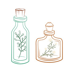 Apothecary bottles with flowers and herbs inside. Vector illustration.