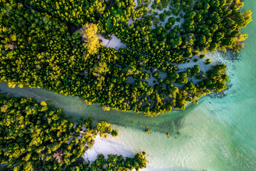 Aerial view of lush mangrove forest in the tropical lagoon, Pingwe, Chwaka Bay, Zanzibar, Tanzania