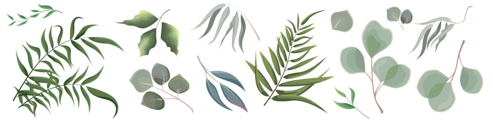Mix of herbs and plants vector big collection. Juicy eucalyptus, green plants and leaves. All elements are isolated 