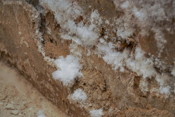 White mold on the wall in a damp basement or dungeon. Selective focus