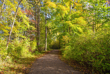 Fototapeta na wymiar Beautiful Autumn Country Landscape on a sunny day. High quality photo