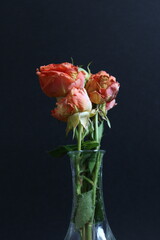 roses in a glass vase