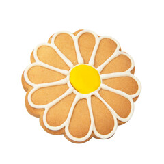 Daisy flower homemade cookies with icing isolated on white