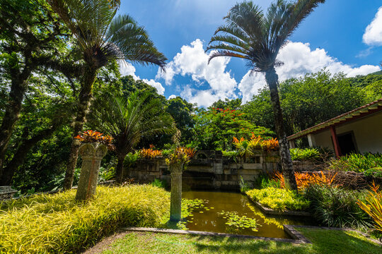Sitio Roberto Burle Marx site, a landscape garden, UNESCO World Heritage Site, Rio de Janeiro, Brazil