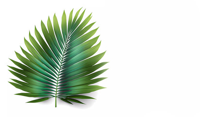 Green leaf of a palm tree on a white background. palm. Banner. Generative AI