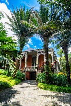 Sitio Roberto Burle Marx site, a landscape garden, UNESCO World Heritage Site, Rio de Janeiro, Brazil