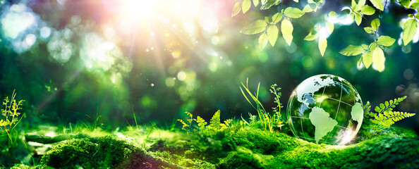 Earth Day - Environment - Green Globe In Forest With Moss And Defocused Abstract Sunlight - obrazy, fototapety, plakaty