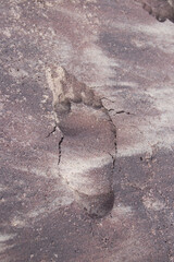 Footprint in sea sand on the beach in summer
