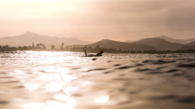 View of Dreamy surfer girl silhouette on the board in the Pacific ocean waiting for the wave in glorious morning light, Baja California Sur, Mexico.