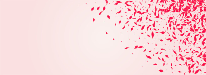Obraz premium Coral Flower Vector Pink Panoramic Background.