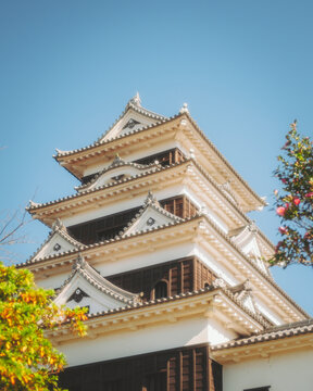 View of Ozu castle during koyo season, Ozu, Ehime, Shikoku, Japan.
