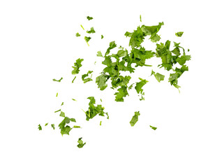Chopped cilantro leaves as green seasoning flying, falling isolated on white, transparent background, PNG
