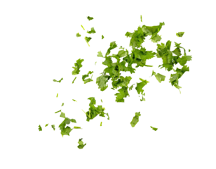 Chopped cilantro leaves as green seasoning flying, falling isolated on white, transparent background, PNG