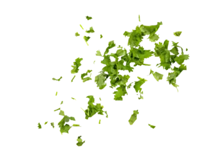 Zelfklevend Fotobehang Chopped cilantro leaves as green seasoning flying, falling isolated on white, transparent background, PNG © Savvapanf Photo ©