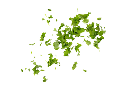Chopped cilantro leaves as green seasoning flying, falling isolated on white, transparent background, PNG