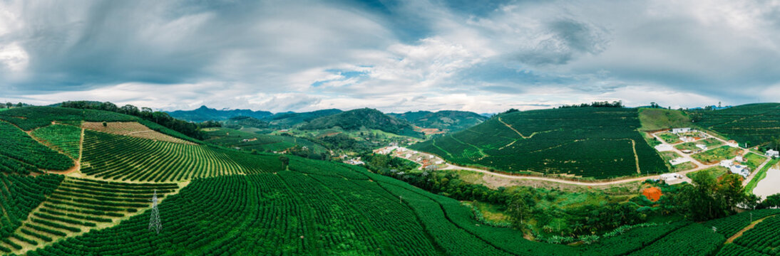 Panoramic aerial view of Arabica coffee field plantations in Minas Gerais, Brazil