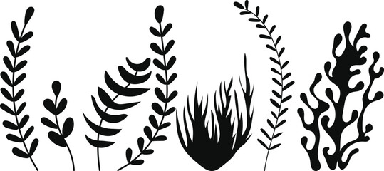seaweed silhouette set on white background, vector